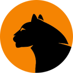 UM black ORANGE UM black ORANGE